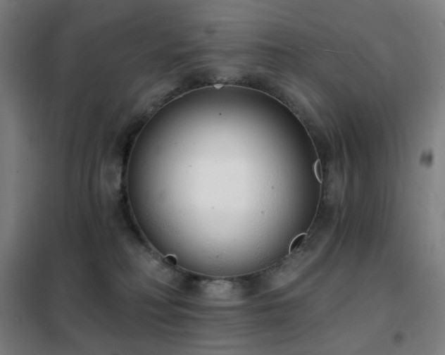 X0000102290230200807251428