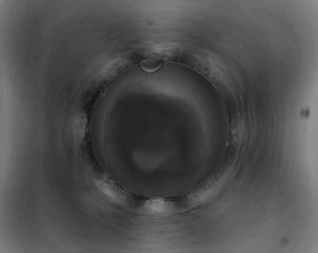 X0000102290231200807251428