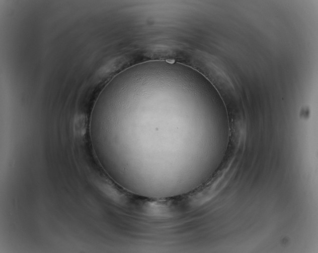 X0000102290232200807251428