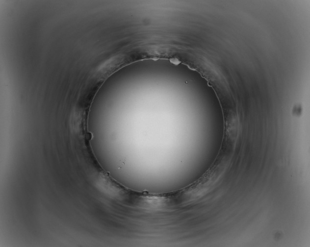 X0000102290233200807251428