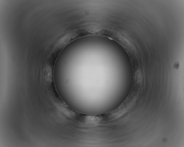 X0000102290234200807251428