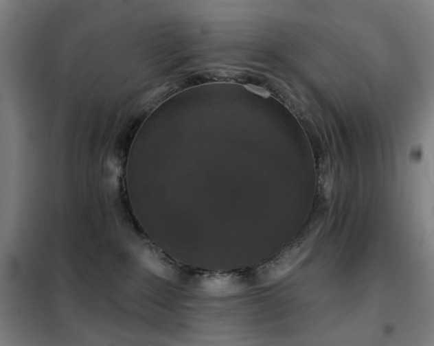 X0000102290235200807251428