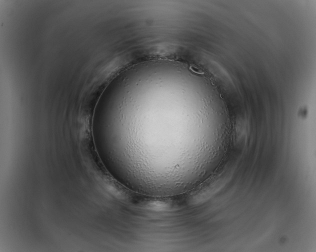 X0000102290236200807251428