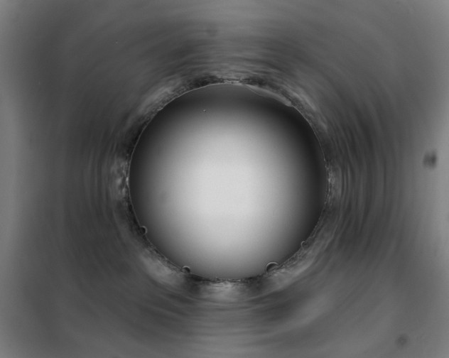 X0000102290237200807251428