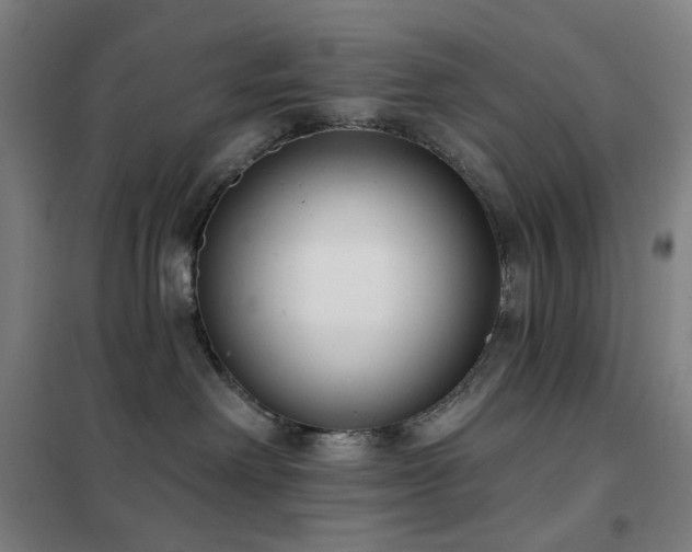 X0000102290238200807251428
