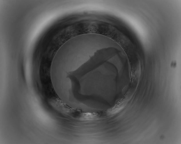 X0000102290239200807251428