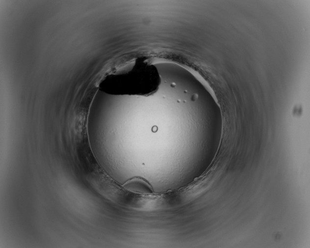 X0000102290240200807251428