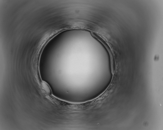 X0000102290241200807251428