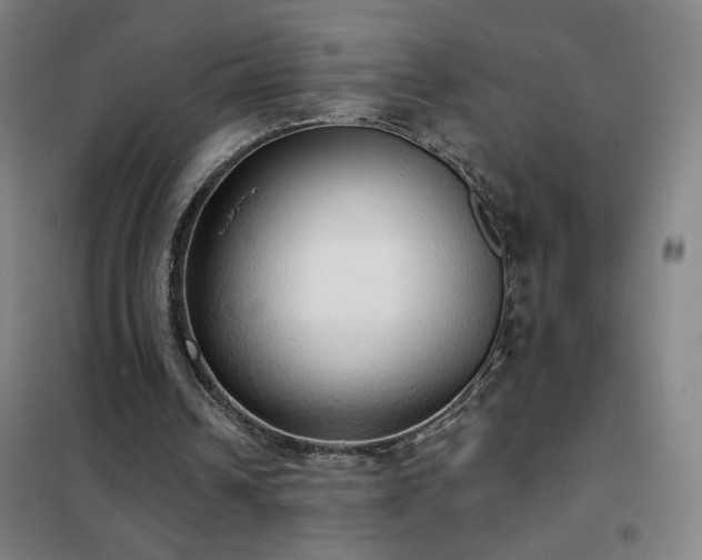 X0000102290242200807251428