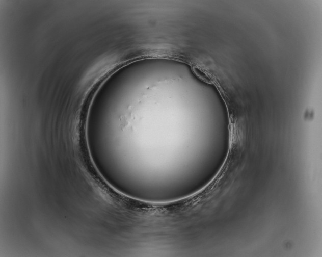 X0000102290243200807251428