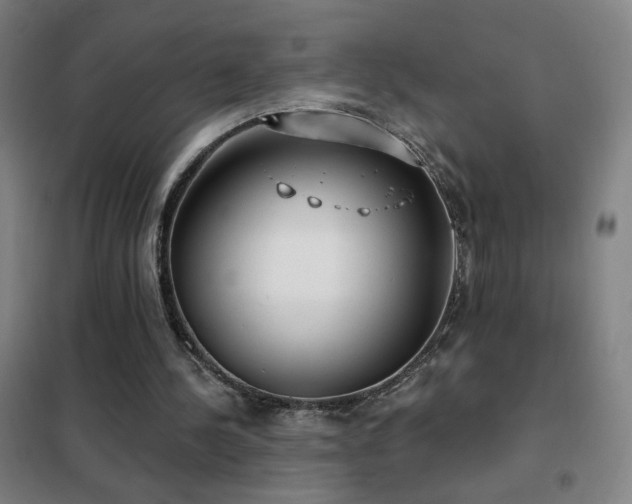 X0000102290244200807251428