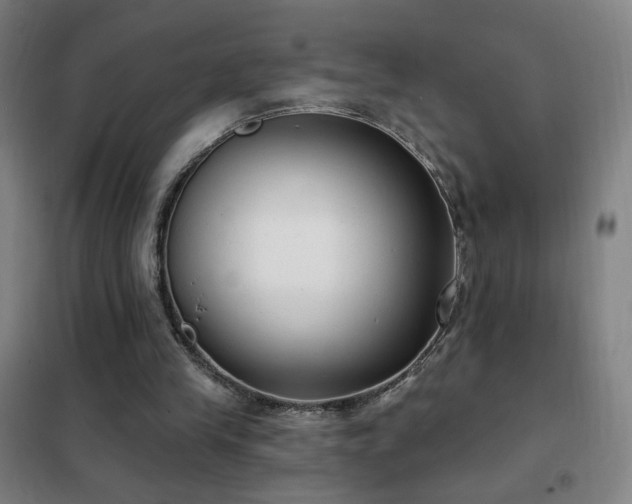 X0000102290245200807251428