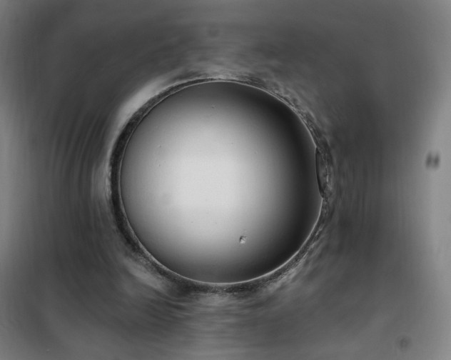 X0000102290246200807251428
