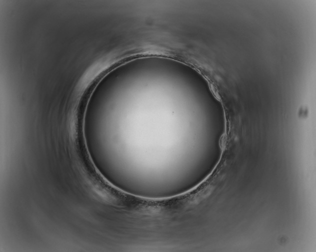 X0000102290247200807251428