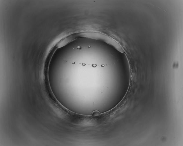 X0000102290248200807251428