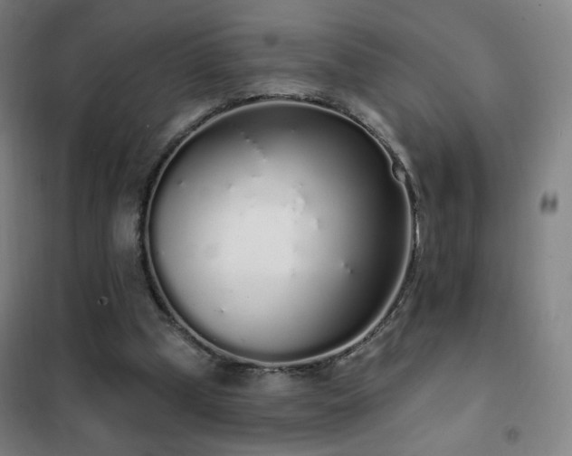 X0000102290249200807251428