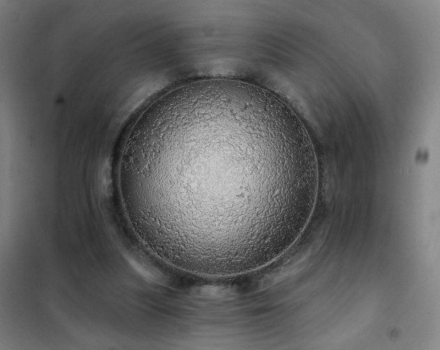 X0000102290251200807251428