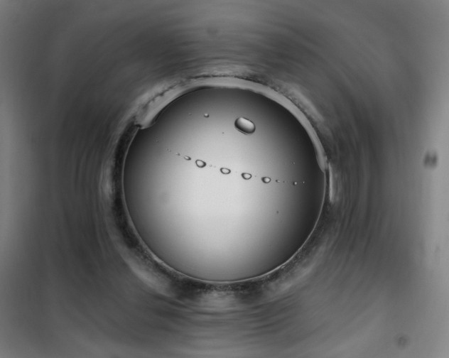 X0000102290252200807251428