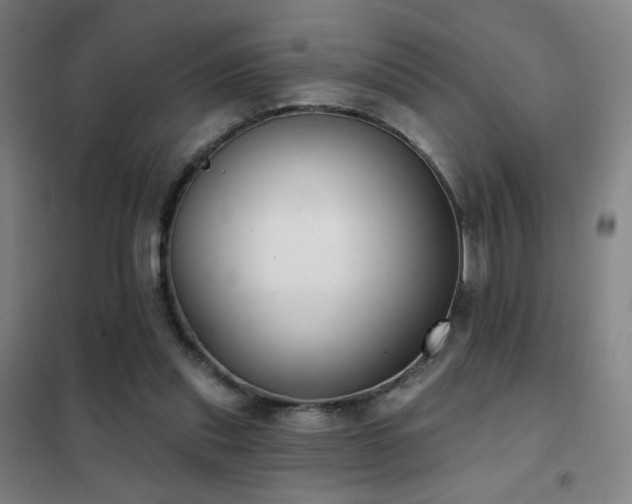 X0000102290253200807251428