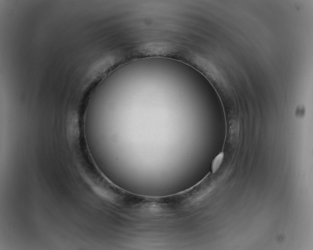 X0000102290254200807251428