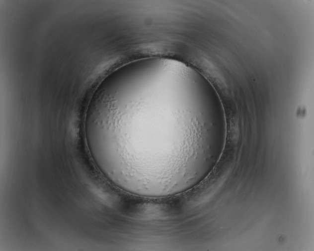 X0000102290255200807251428