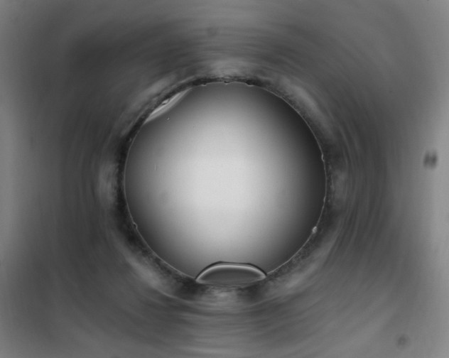 X0000102290260200807251428