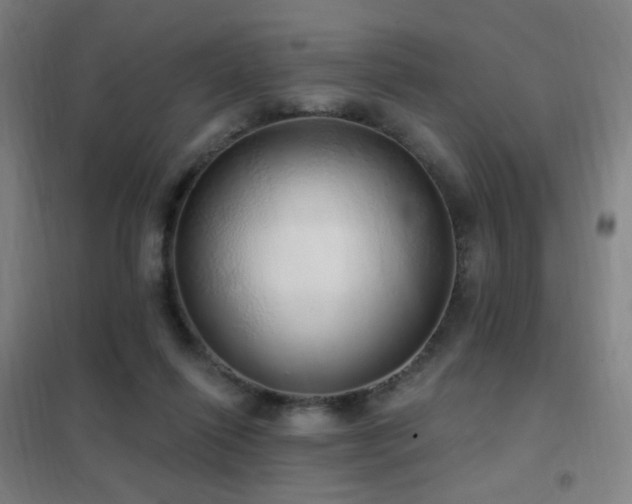 X0000102290262200807251428