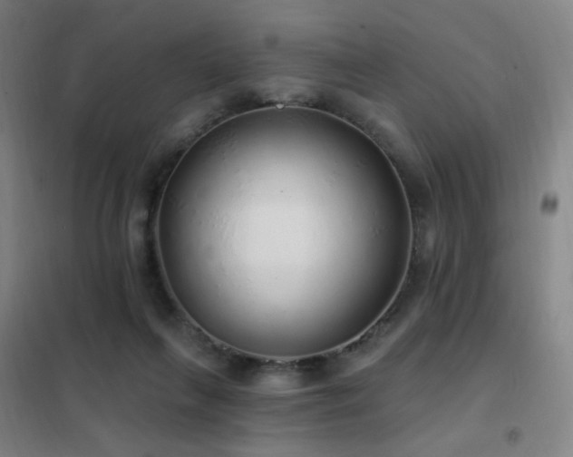 X0000102290263200807251428