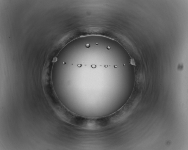 X0000102290264200807251428