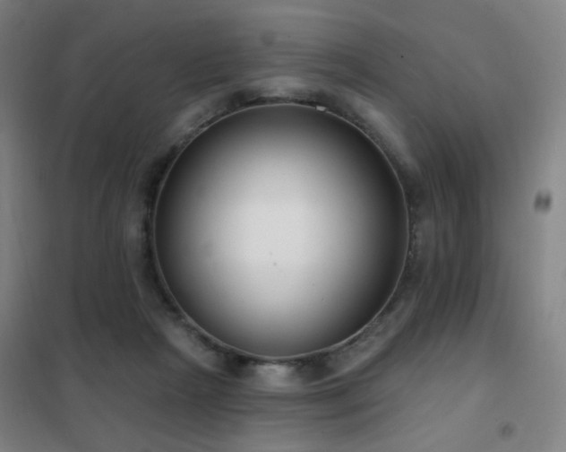 X0000102290265200807251428