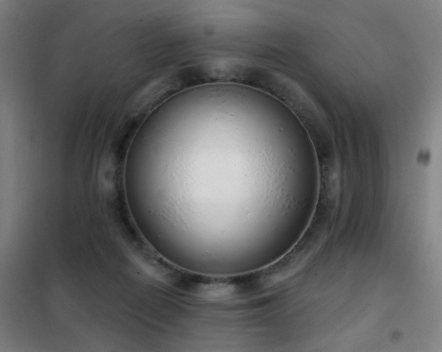 X0000102290266200807251428