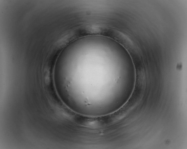 X0000102290267200807251428