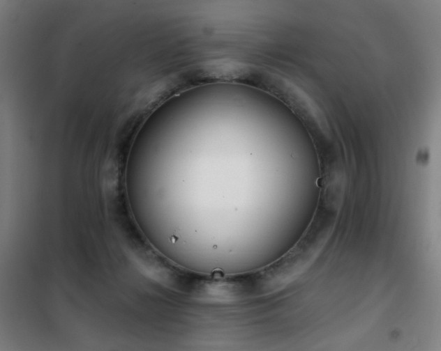 X0000102290268200807251428