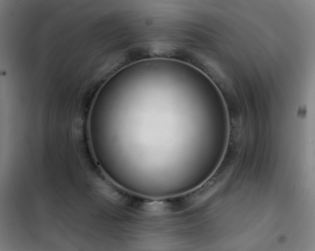 X0000102290269200807251428
