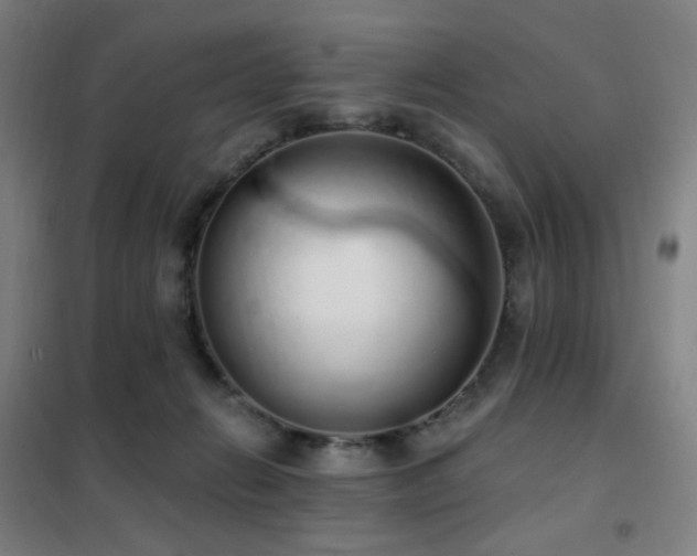 X0000102290270200807251428