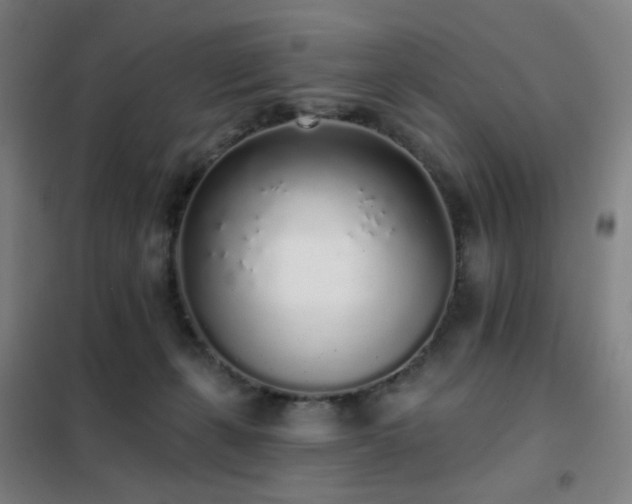 X0000102290271200807251428