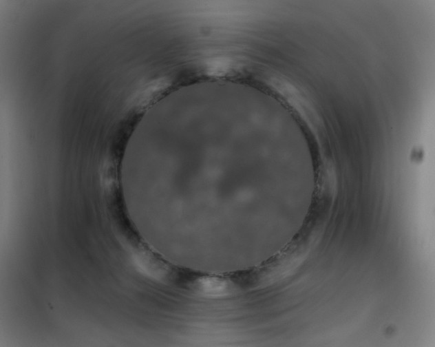 X0000102290272200807251428
