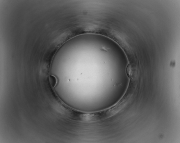 X0000102290273200807251428