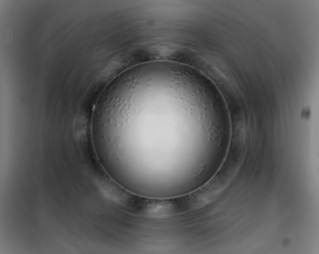 X0000102290274200807251428