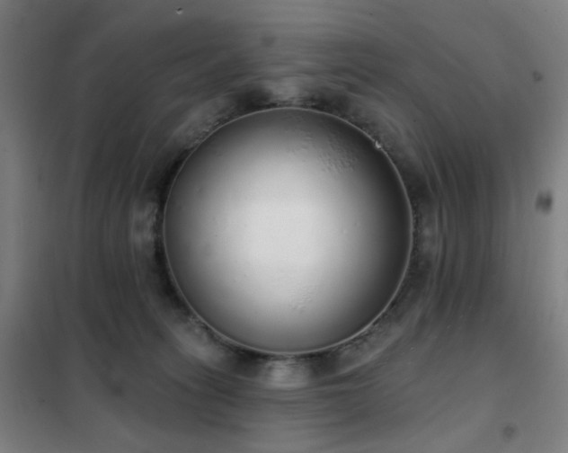 X0000102290275200807251428