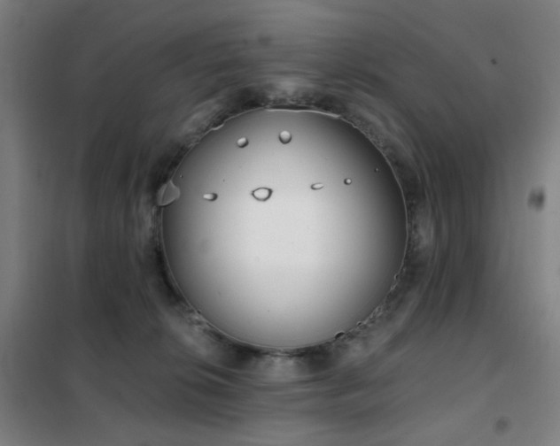 X0000102290276200807251428