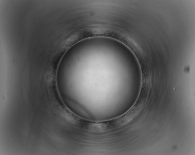 X0000102290277200807251428