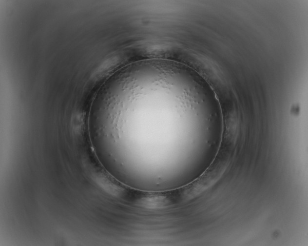 X0000102290278200807251428