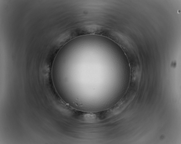 X0000102290279200807251428