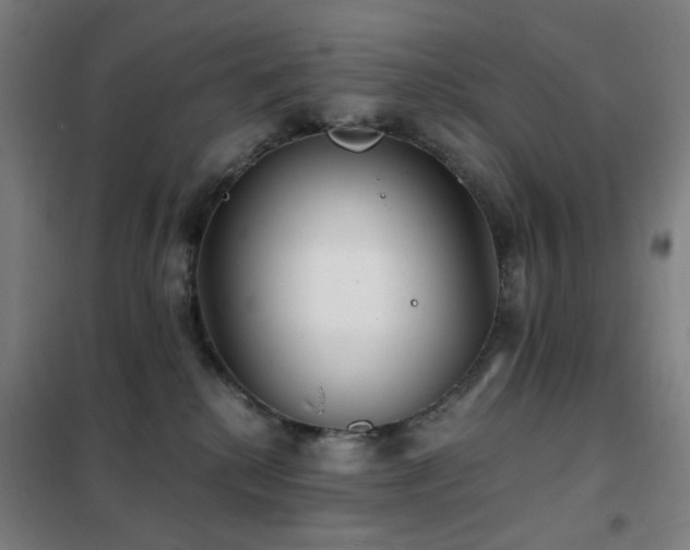 X0000102290280200807251428