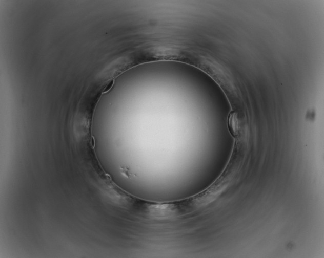 X0000102290281200807251428