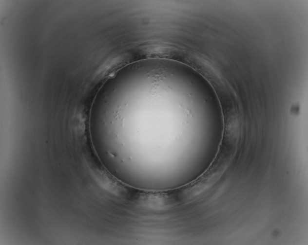X0000102290282200807251428