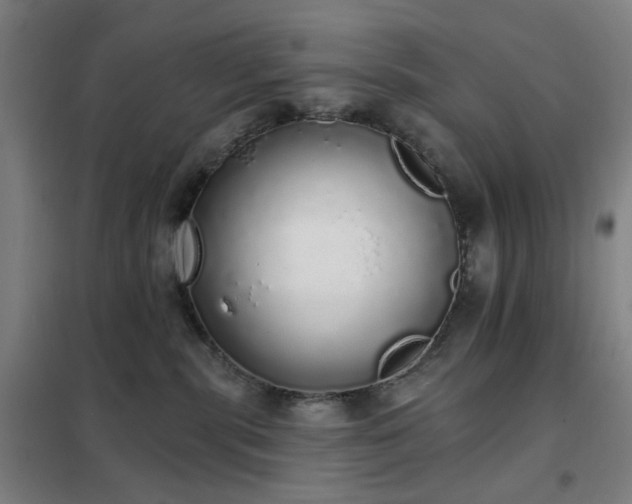 X0000102290283200807251428