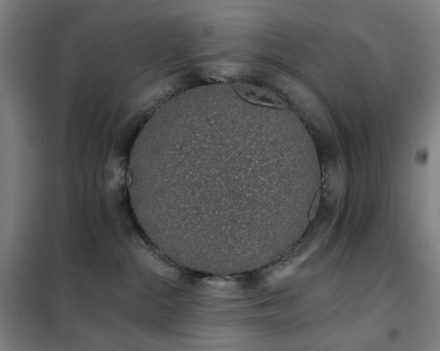 X0000102290284200807251428
