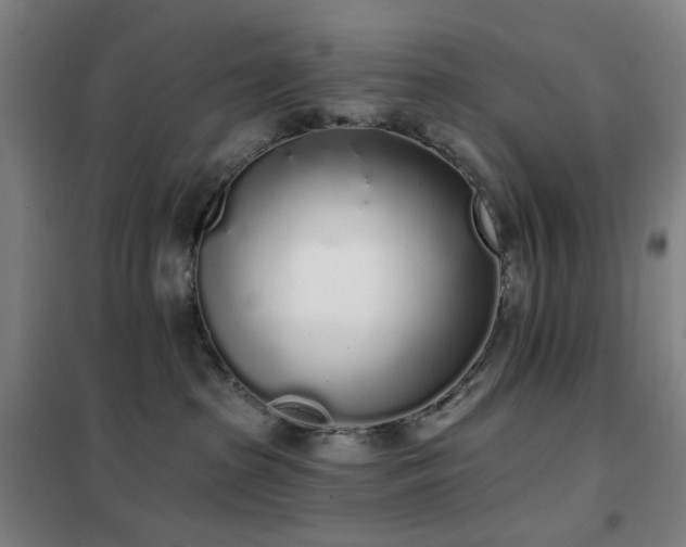 X0000102290285200807251428